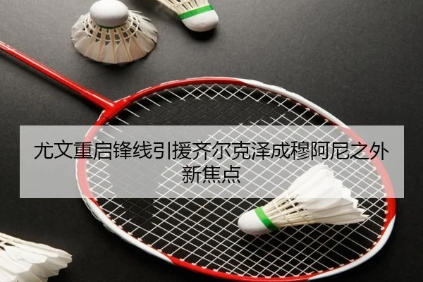 尤文重启锋线引援齐尔克泽成穆阿尼之外新焦点